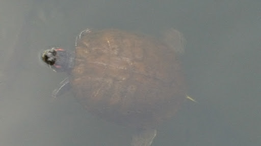 Caterer «Lakeside Manor», reviews and photos, 10 Foster Ave, Gibbsboro, NJ 08026, USA