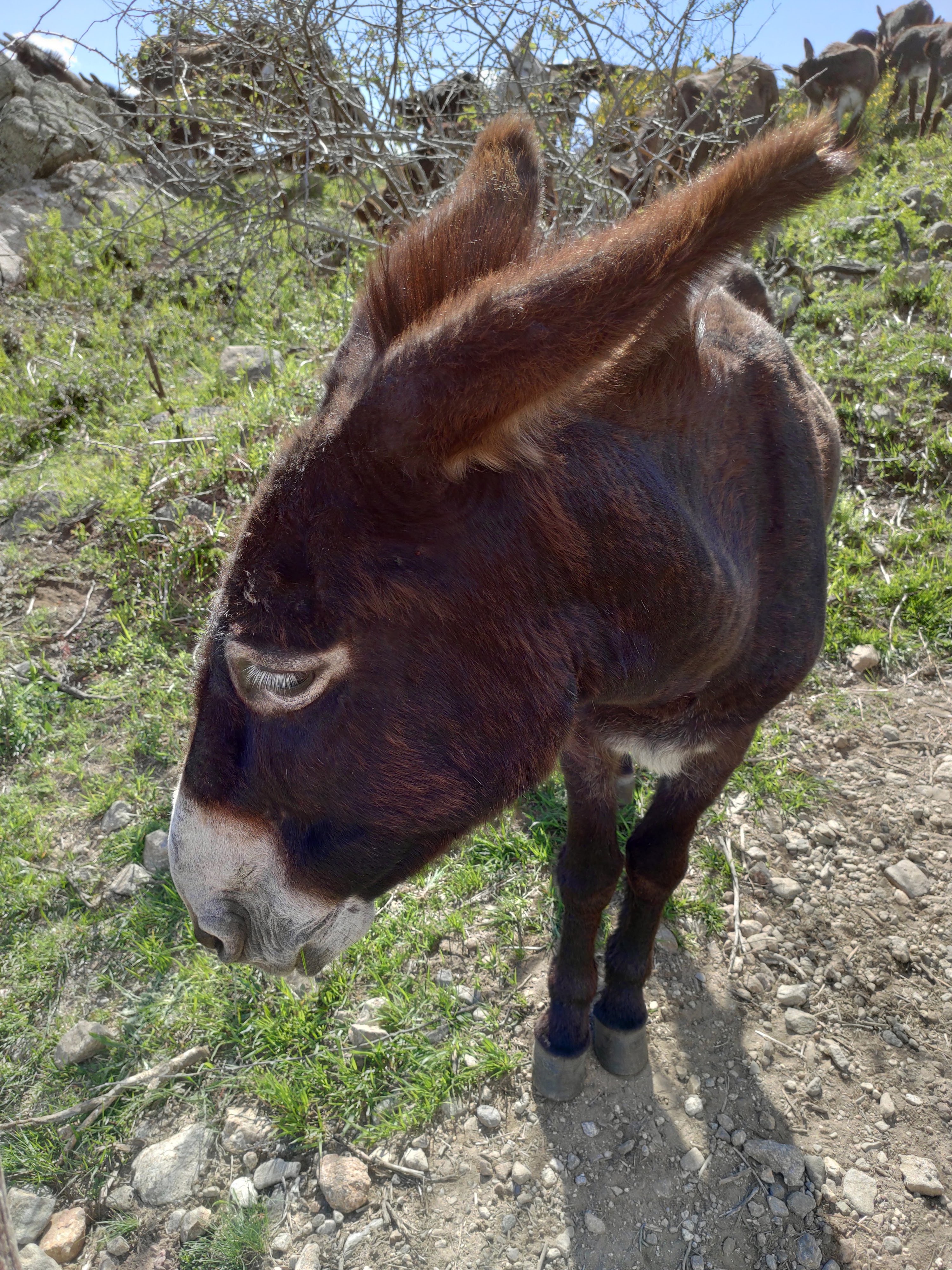 Photo n° 29 de l'avis de Florian.o fait le 04/06/2019 à 10:25