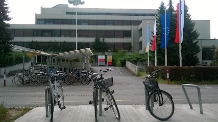Univerza v Ljubljani, Pedagoška fakulteta