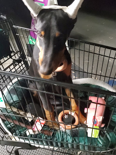 Pet Supply Store «Pet Supplies Plus», reviews and photos, 1411 S Stockton St, Lodi, CA 95240, USA