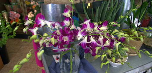 Florist «Mayfield Floral Inc.», reviews and photos, 6109 Mayfield Rd, Mayfield Heights, OH 44124, USA