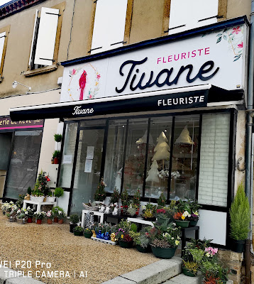 TIVANE FLEURS à Montchanin