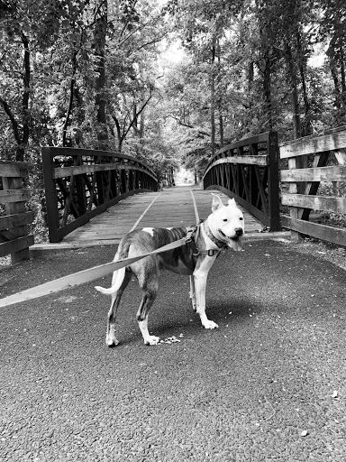 Pet Supply Store «Pet Supplies Plus», reviews and photos, 3120 NJ-35, Hazlet, NJ 07730, USA