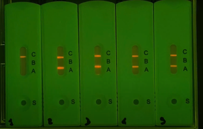 Poly-Dtech à Strasbourg