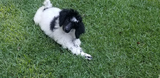 124 S Morningside Dr, Cartersville, GA 30121, USA