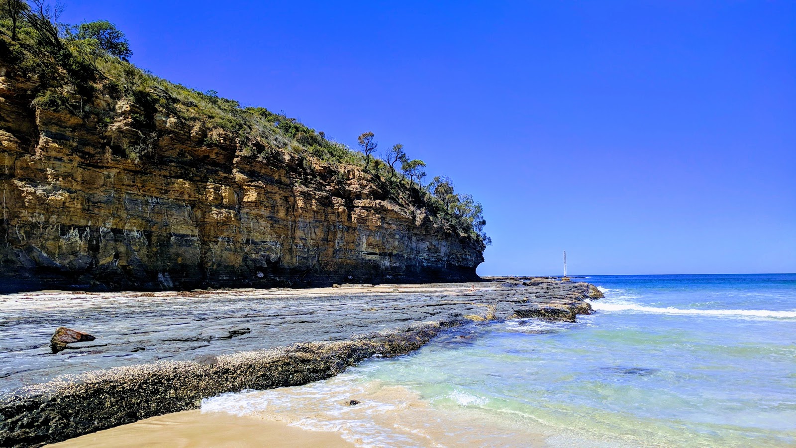 Pebbly Beach'in fotoğrafı - rahatlamayı sevenler arasında popüler bir yer