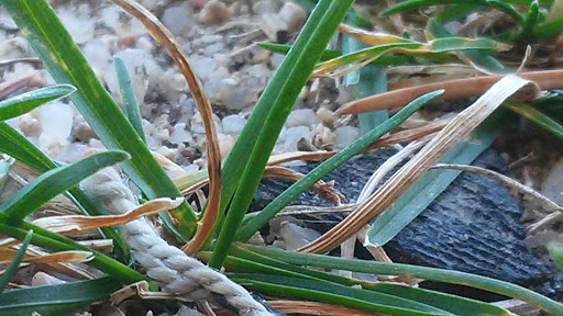 Park «Horseshoe Park», reviews and photos, 15151 E Alameda Pkwy, Aurora, CO 80012, USA