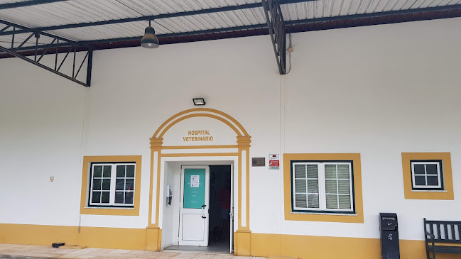 Vetalcácer - Centro Médico Veterinário - Alcácer do Sal