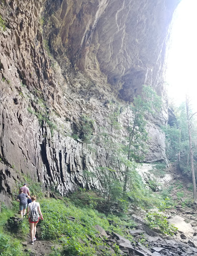 Tourist Attraction «Ozone Falls», reviews and photos, 14563 TN-1, Rockwood, TN 37854, USA