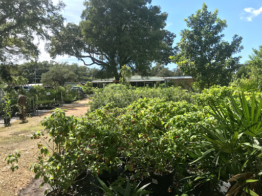 Plant Nursery «Wilcox Nursery», reviews and photos, 12501 Indian Rocks Rd, Largo, FL 33774, USA