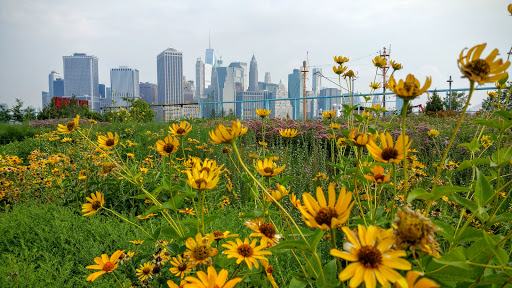 Park «Brooklyn Bridge Park», reviews and photos, 334 Furman St, Brooklyn, NY 11201, USA