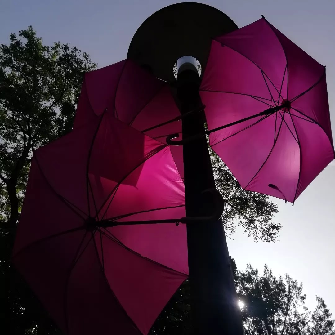Photo n° 4 de l'avis de Rosy.e fait le 16/06/2019 à 14:51