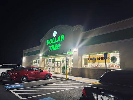 Dollar Store «Dollar Tree», reviews and photos, 5656 Jonesboro Rd #113, Lake City, GA 30260, USA
