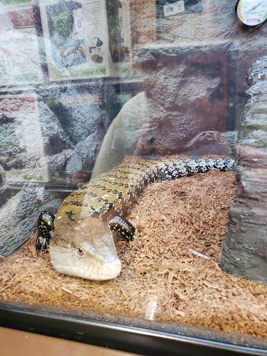 Pet Supply Store «Petco Animal Supplies», reviews and photos, 21348 Kuykendahl Rd, Spring, TX 77379, USA