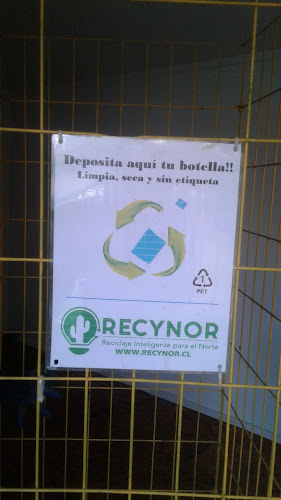 Recynor - Iquique