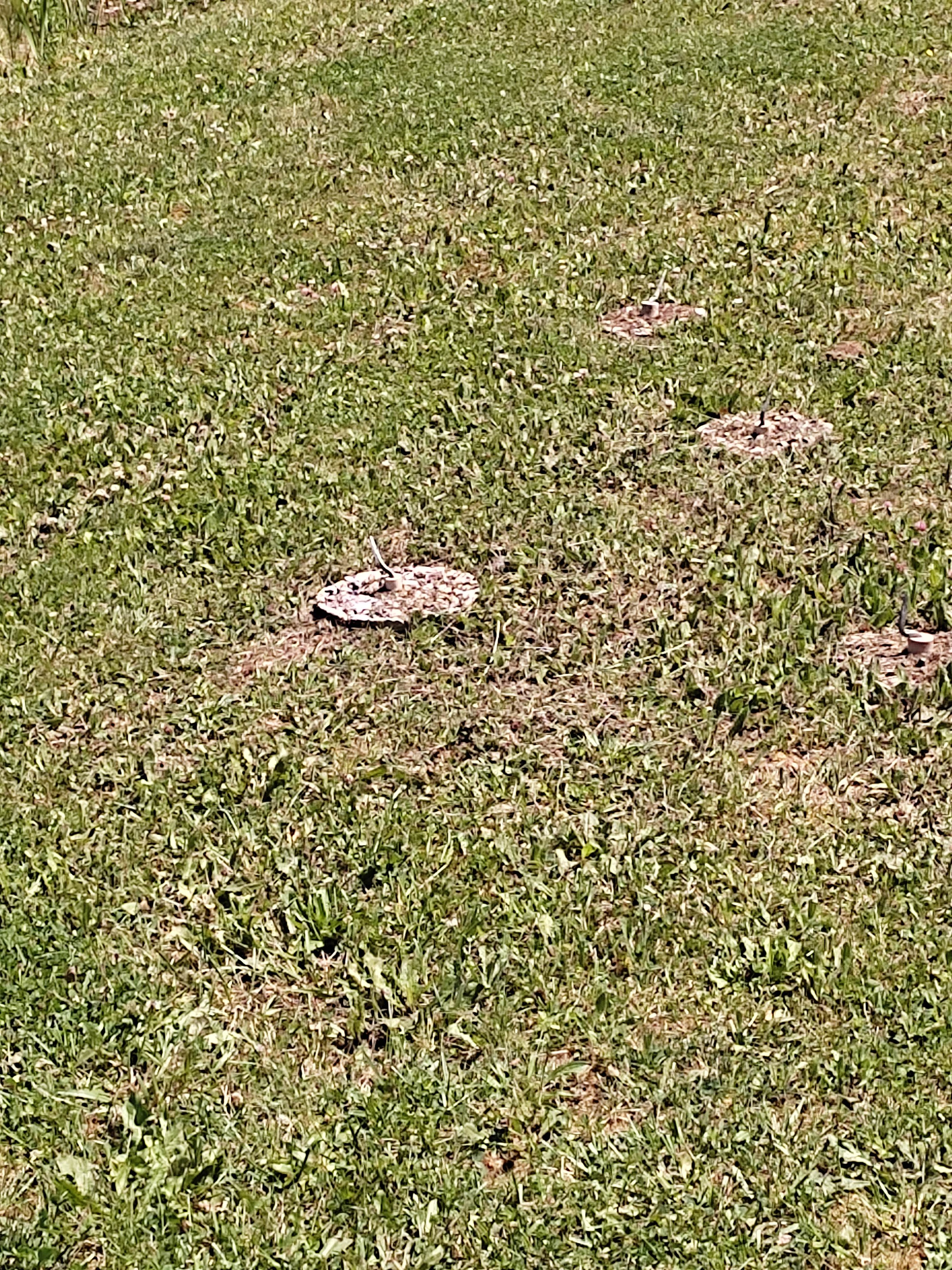 Photo n° 10 de l'avis de Yannick.N fait le 11/06/2022 à 20:18