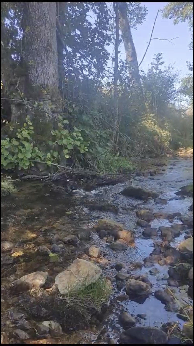 Photo n° 11 de l'avis de Cantin.a fait le 24/10/2023 à 11:08