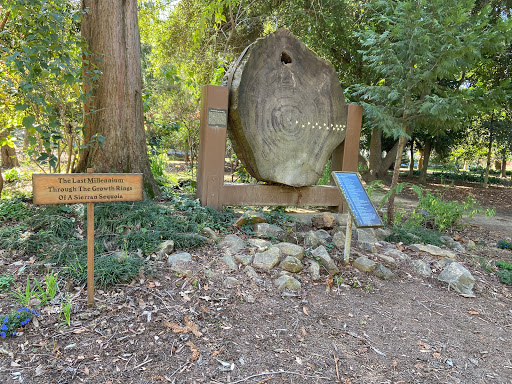 Sacramento State University Arboretum