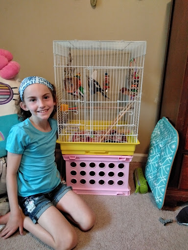 Pet Supply Store «Pet Finatics», reviews and photos, 3150 Navarre Ave, Oregon, OH 43616, USA