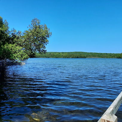 Little Lake Natural Area