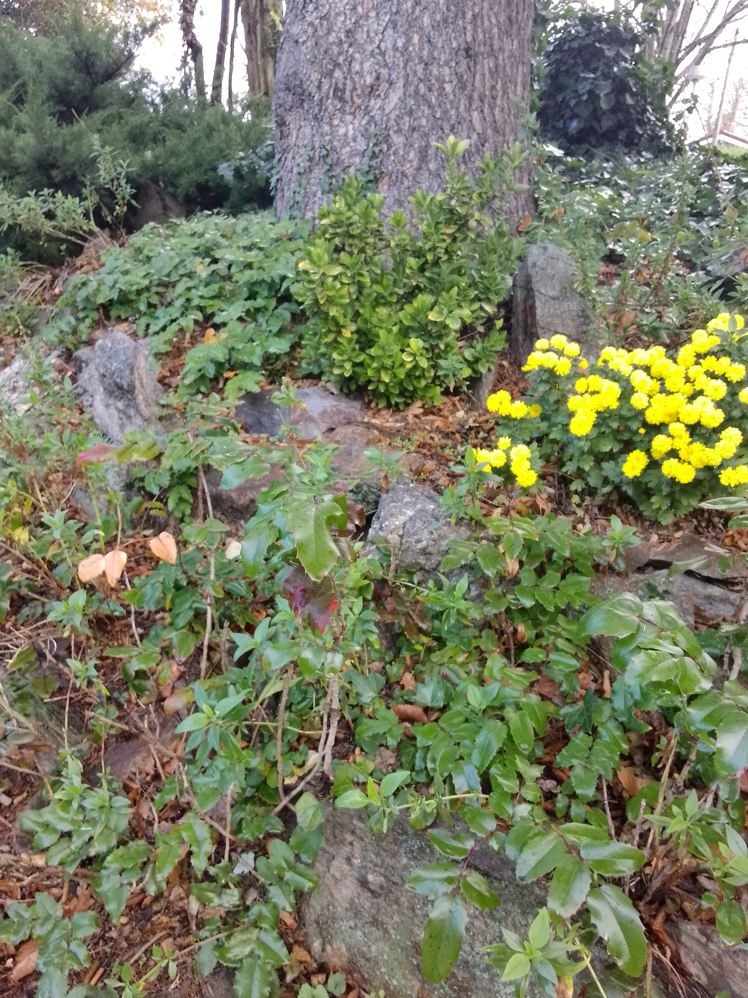 Photo n° 14 de l'avis de Lyson.m fait le 28/11/2023 à 11:34