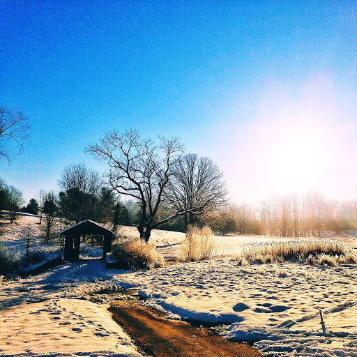 Private Golf Course «Holly Hills Country Club», reviews and photos, 5502 Mussetter Rd, Ijamsville, MD 21754, USA