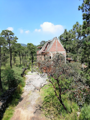 Cabaña Jaguares