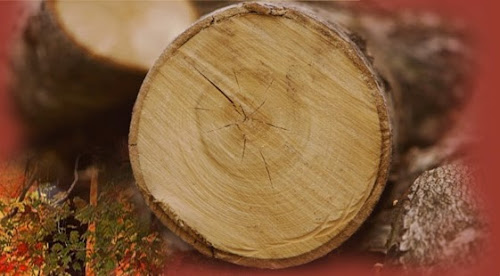 Magasin de bois de chauffage J. GUILLON - Bois de Chauffage La Turballe
