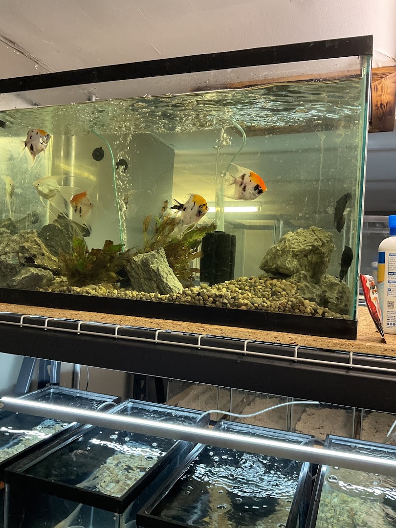 The Fish and Reptile Room