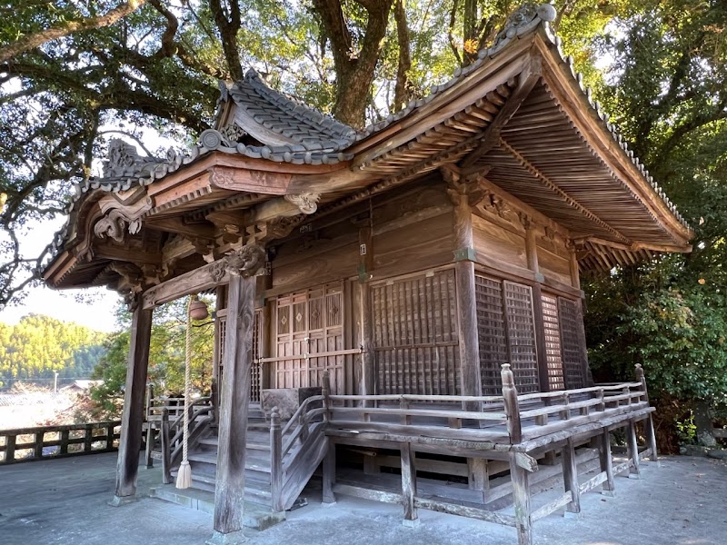 釜屋神社の楠