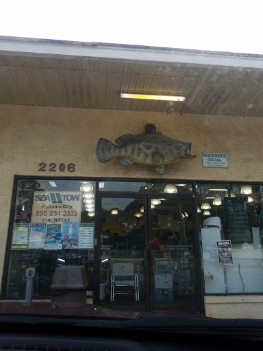 Sporting Goods Store «Half Hitch-Panama City Beach», reviews and photos, 2206 Thomas Dr, Panama City, FL 32408, USA