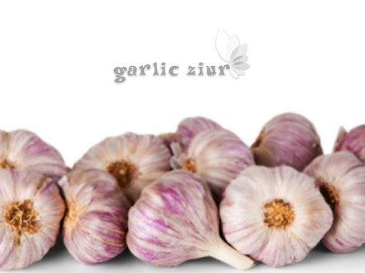 Garlic Store: Tienda de ajos en todas sus variedades & productos Gourmet