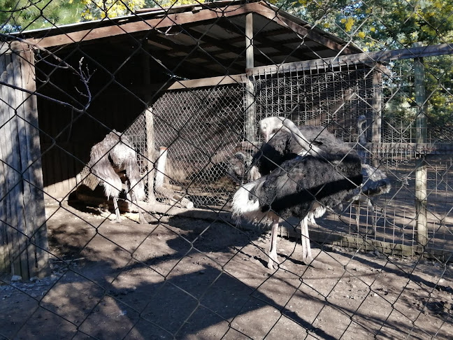 Casa Noé Mundo Animal - Tienda para bebés