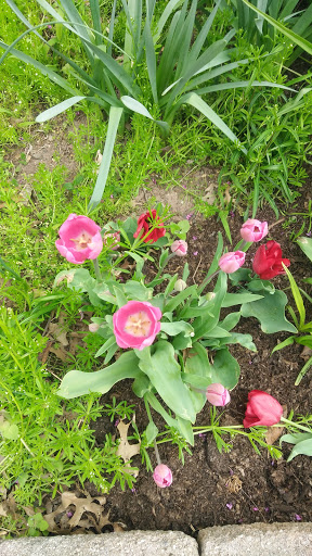 Park «Eugene Simpson Stadium Park», reviews and photos, 426 E Monroe Ave, Alexandria, VA 22301, USA