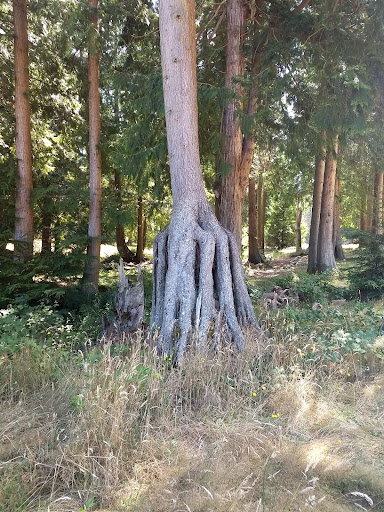 Golf Course «Kayak Point Golf Course», reviews and photos, 15711 Marine Drive NE, Stanwood, WA 98292, USA