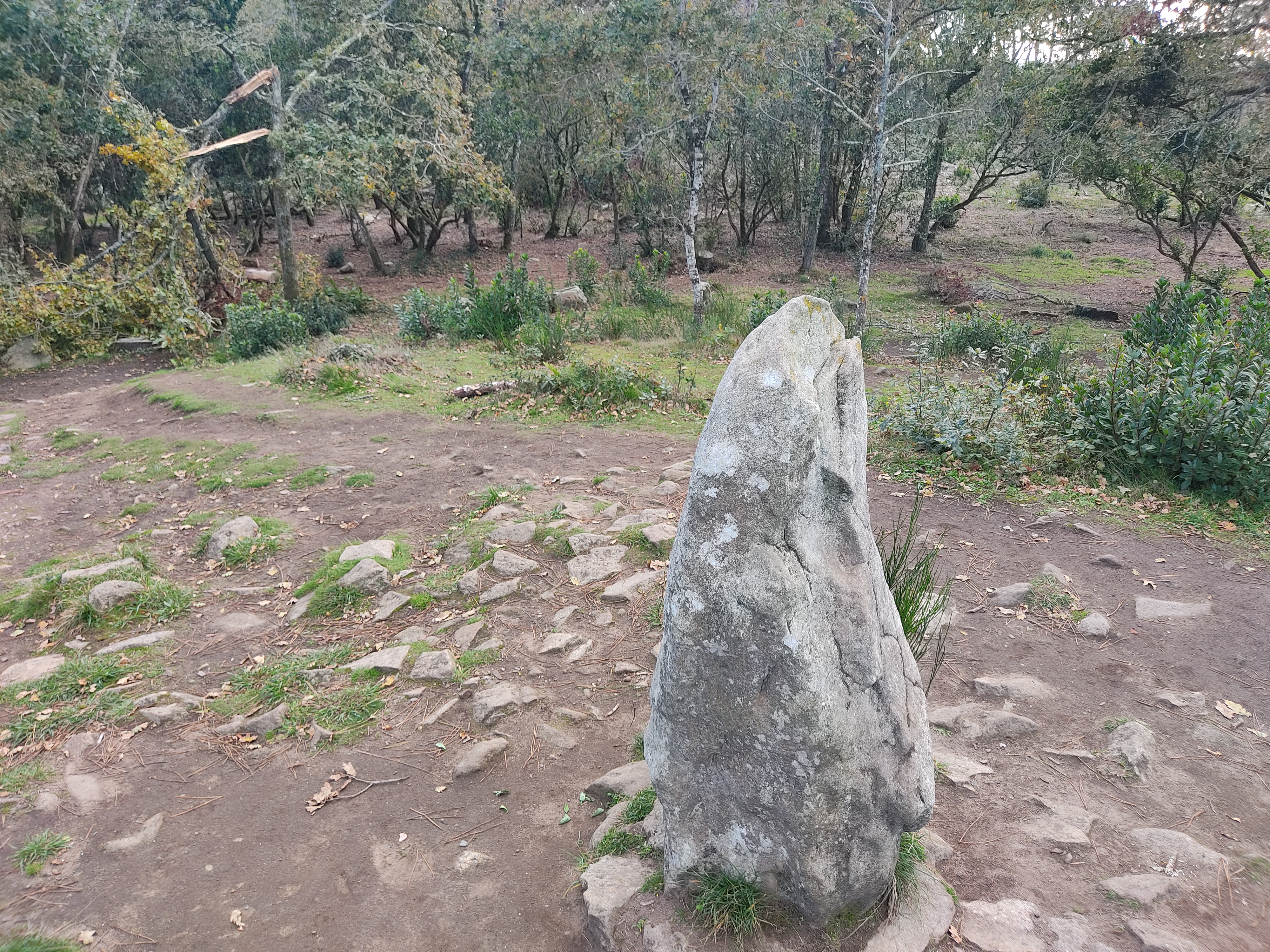 Photo n° 2 de l'avis de Yann.e fait le 29/10/2021 à 14:59