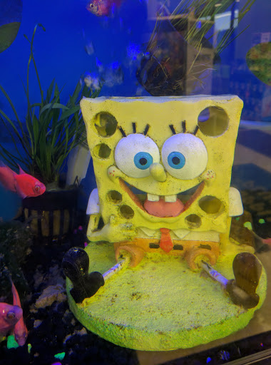 Pet Supply Store «Pet Supplies Plus», reviews and photos, 508 E Stroop Rd, Kettering, OH 45429, USA