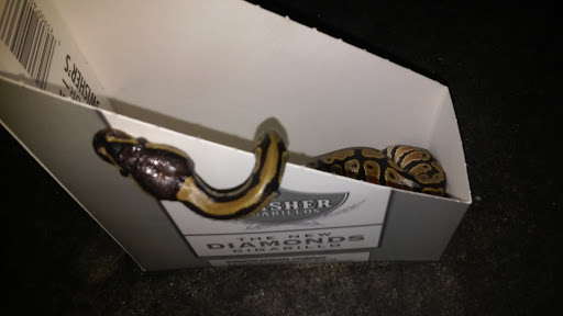 Pet Supply Store «PetSmart», reviews and photos, 2760 W 120th St, Hawthorne, CA 90250, USA