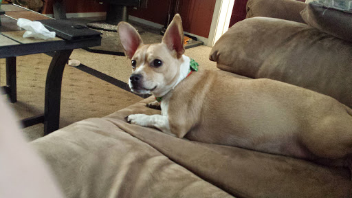 Public Golf Course «Neshaminy Valley Golf Club - OPEN to PUBLIC», reviews and photos, 440 Almshouse Rd, Richboro, PA 18954, USA