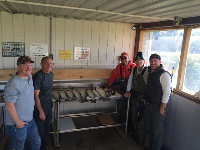 Green Roof Inn by null