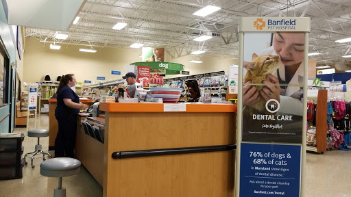 Pet Supply Store «PetSmart», reviews and photos, 412 Constant Friendship Blvd, Abingdon, MD 21009, USA