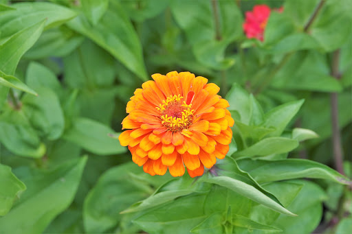 Farm «Langwater Farm», reviews and photos, 209 Washington St, North Easton, MA 02356, USA