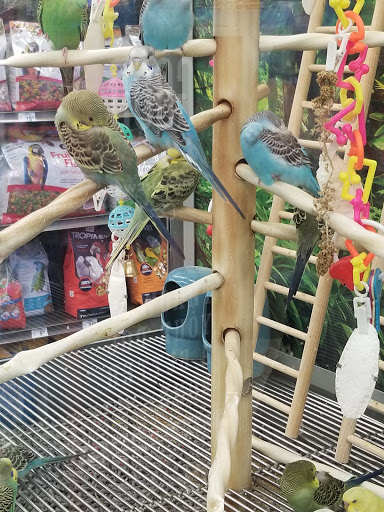 Pet Supply Store «Petco Animal Supplies», reviews and photos, 1680 Campbell Ln, Bowling Green, KY 42104, USA