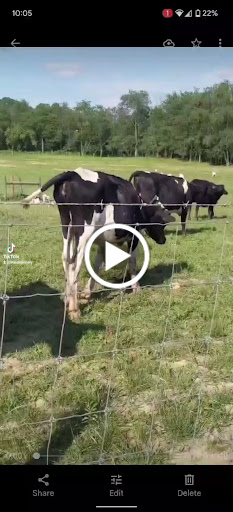 Asian Grocery Store «Image Grocery LLC», reviews and photos, 4669 Morse Centre Rd, Columbus, OH 43229, USA