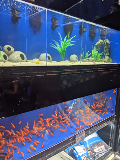 Pet Supply Store «PetSmart», reviews and photos, 10 Hazard Ave, Enfield, CT 06082, USA