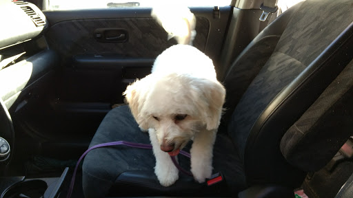 Pet Supply Store «Paws and Claws Pet Food», reviews and photos, 654 Wolcott Rd, Wolcott, CT 06716, USA