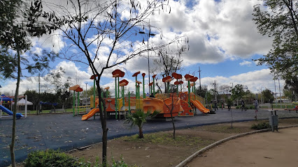 Parkour Parque Piduco