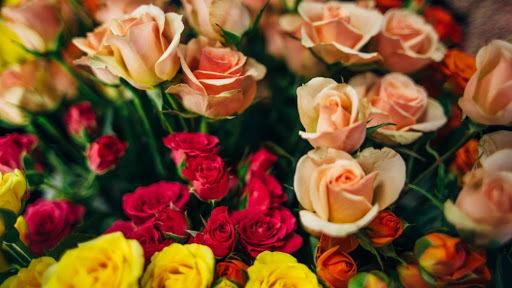 Florist «Flower Nest», reviews and photos, 248 Plaza Rd, Kingston, NY 12401, USA