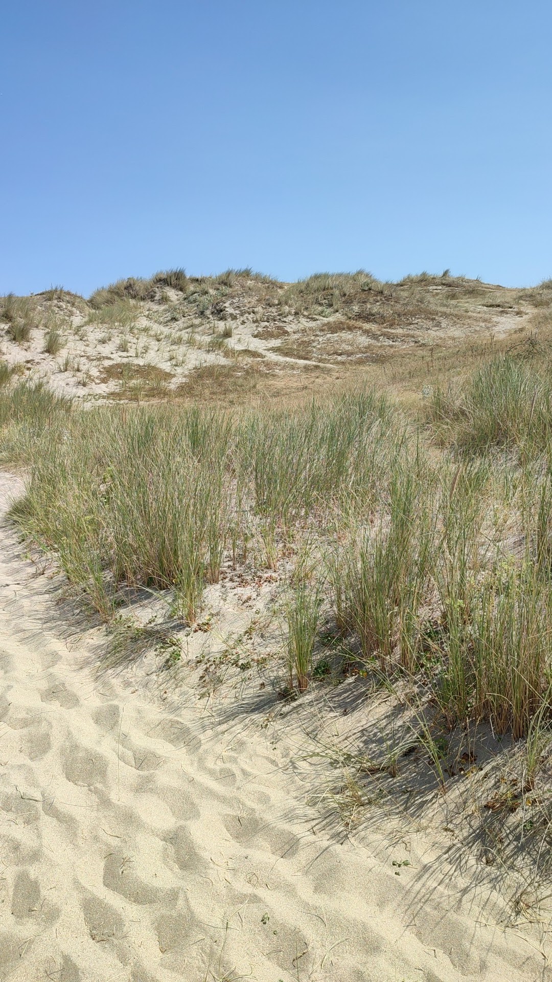 Photo n° 8 de l'avis de Bruno.l fait le 13/08/2022 à 16:51