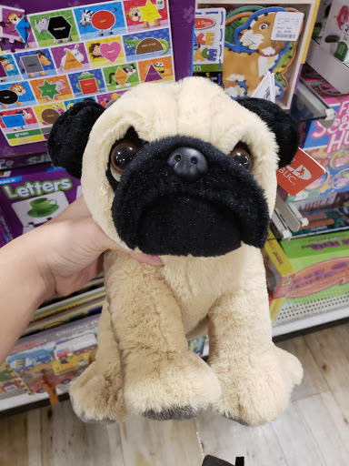 Department Store «HomeGoods», reviews and photos, 8108 Abercorn St #200, Savannah, GA 31406, USA